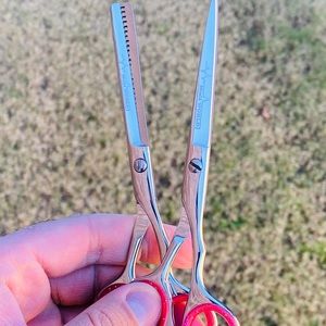 Professional Hair Styling Shears Set